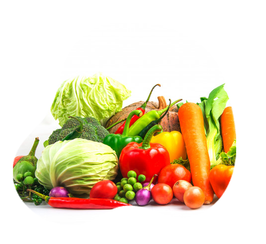 Organic vegetables by Apni jaivik kheti Organic vegetables by Apni jaivik kheti