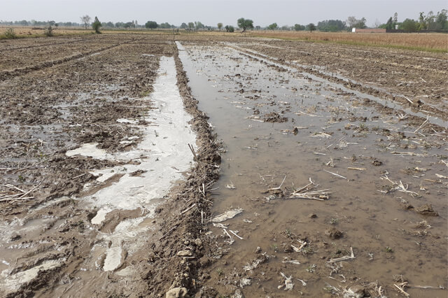  Apni jaivik kheti An Organic farm