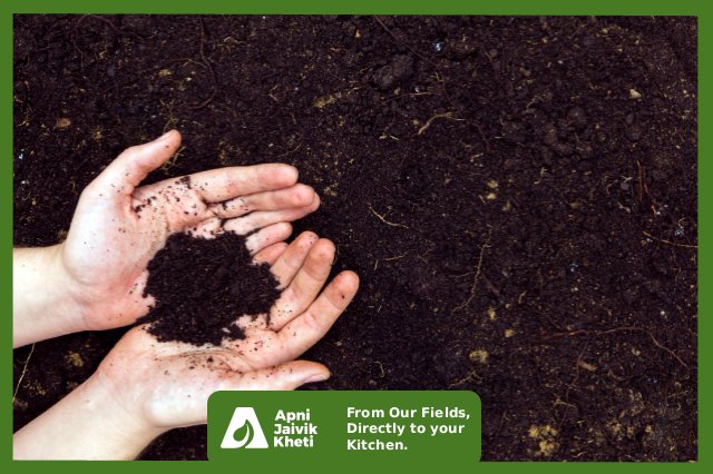 Organic Compost Apni jaivik kheti An Organic farm
